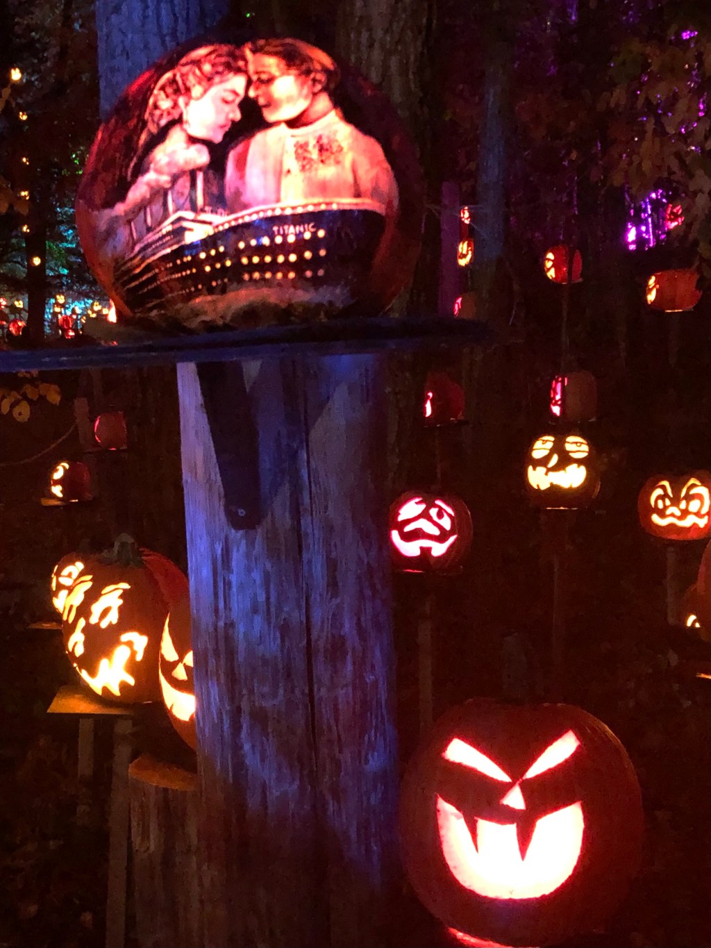 Day 21 – A lucky&nbsp;day